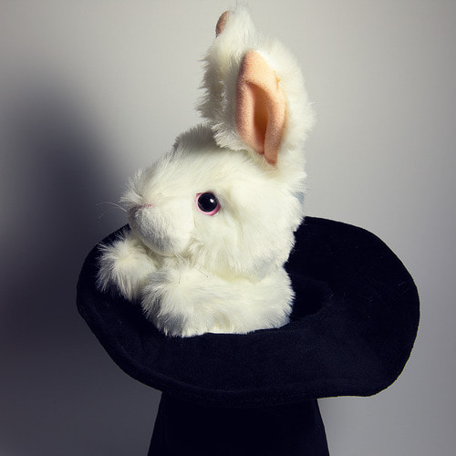 비앤비매직(BNBMAGIC) - 토끼인형 모자 핸드퍼펫(Rabbit In Hat)[스테이지/팔러/핸드퍼펫]