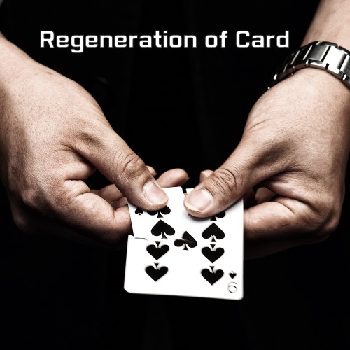 비앤비매직(BNBMAGIC) - 카드재생마술(리필)(Regeneration refill)[카드마술/클로즈업]