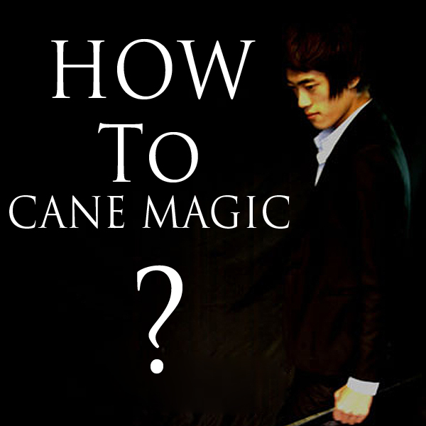 비앤비매직(BNBMAGIC) - 어피어링케인의비밀(DVD)(How to Cane Magic)[스테이지마술/케인DVD]
