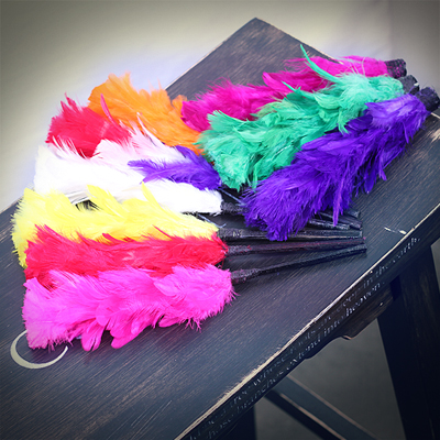 비앤비매직(BNBMAGIC) - 컬러체인지 깃털(Color Changing Feather (Small) by Uday - Trick)[스테이지/학예회/장기자랑/왕초보]마술도구/마술용품/비앤비매직