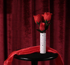 비앤비매직(BNBMAGIC) - 로즈엔베이스(Rose and Vase)[장미마술/스테이지/장미마술액트]