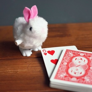 비앤비매직(BNBMAGIC) - 카드찾는토끼마술(Magic Rabbit)[카드마술]