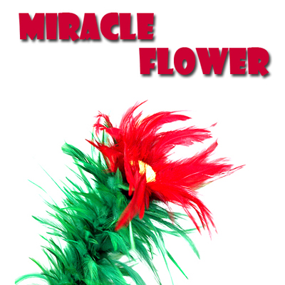 비앤비매직(BNBMAGIC) - 미라클플라워(Miracle Flower)[스테이지마술도구/학예회/어린이마술도구]